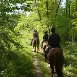 Zecamping 4 Dog Friendly Bien-etre Restaurant Et Soirees Animees Foix