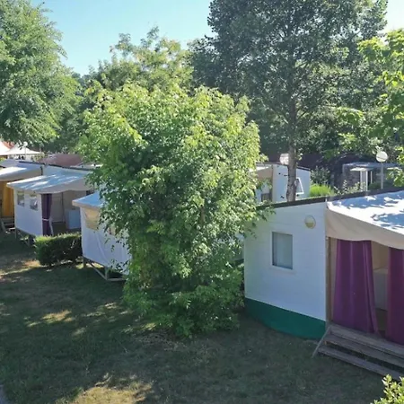 Zecamping 4 Dog Friendly Bien-etre Restaurant Et Soirees Animees *