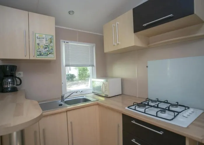 Zecamping 4 Dog Friendly Bien-etre Restaurant Et Soirees Animees Kemp *