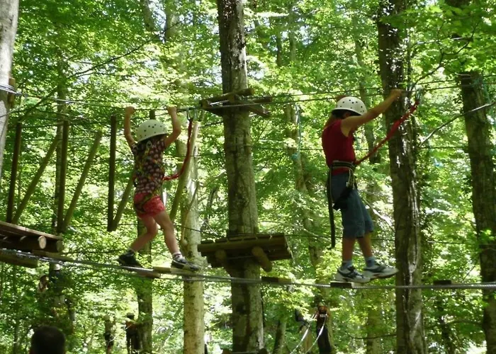 Zecamping 4 Dog Friendly Bien-etre Restaurant Et Soirees Animees Kemp *