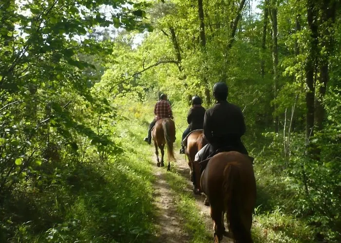 Zecamping 4 Dog Friendly Bien-etre Restaurant Et Soirees Animees Foix